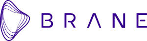 Brane Enterprises Logo